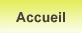 Bouton accueil