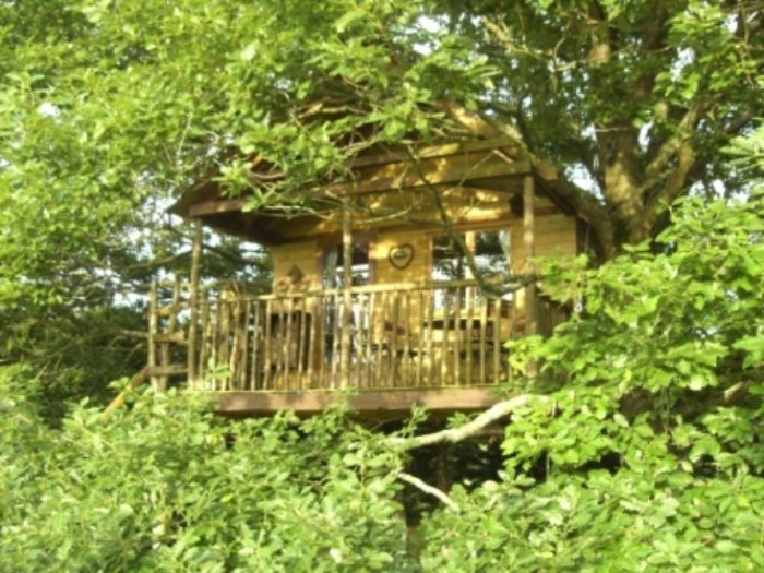 Cabane